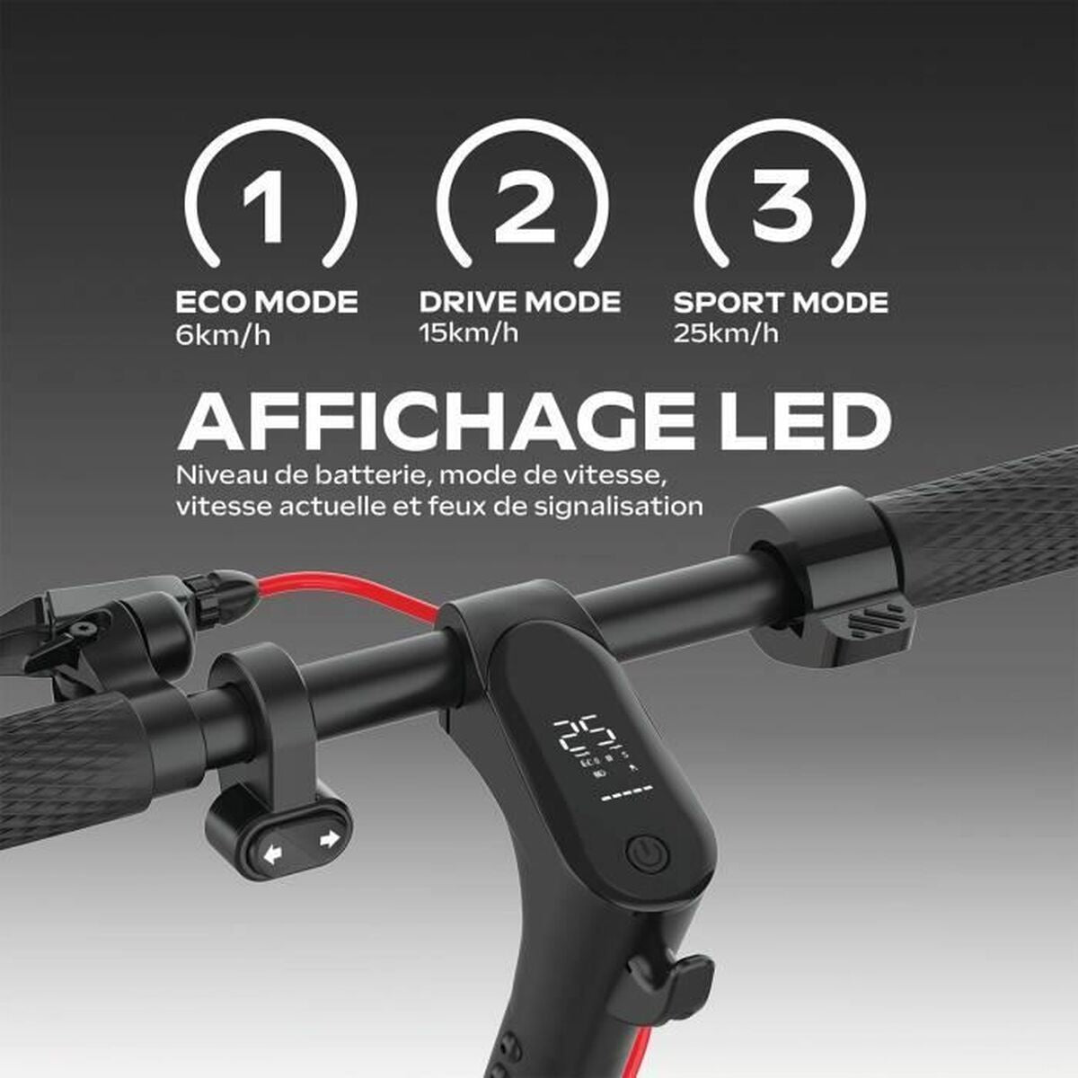 V4H52DD083C17308E0C8217E2FE346A4923R6447065P4