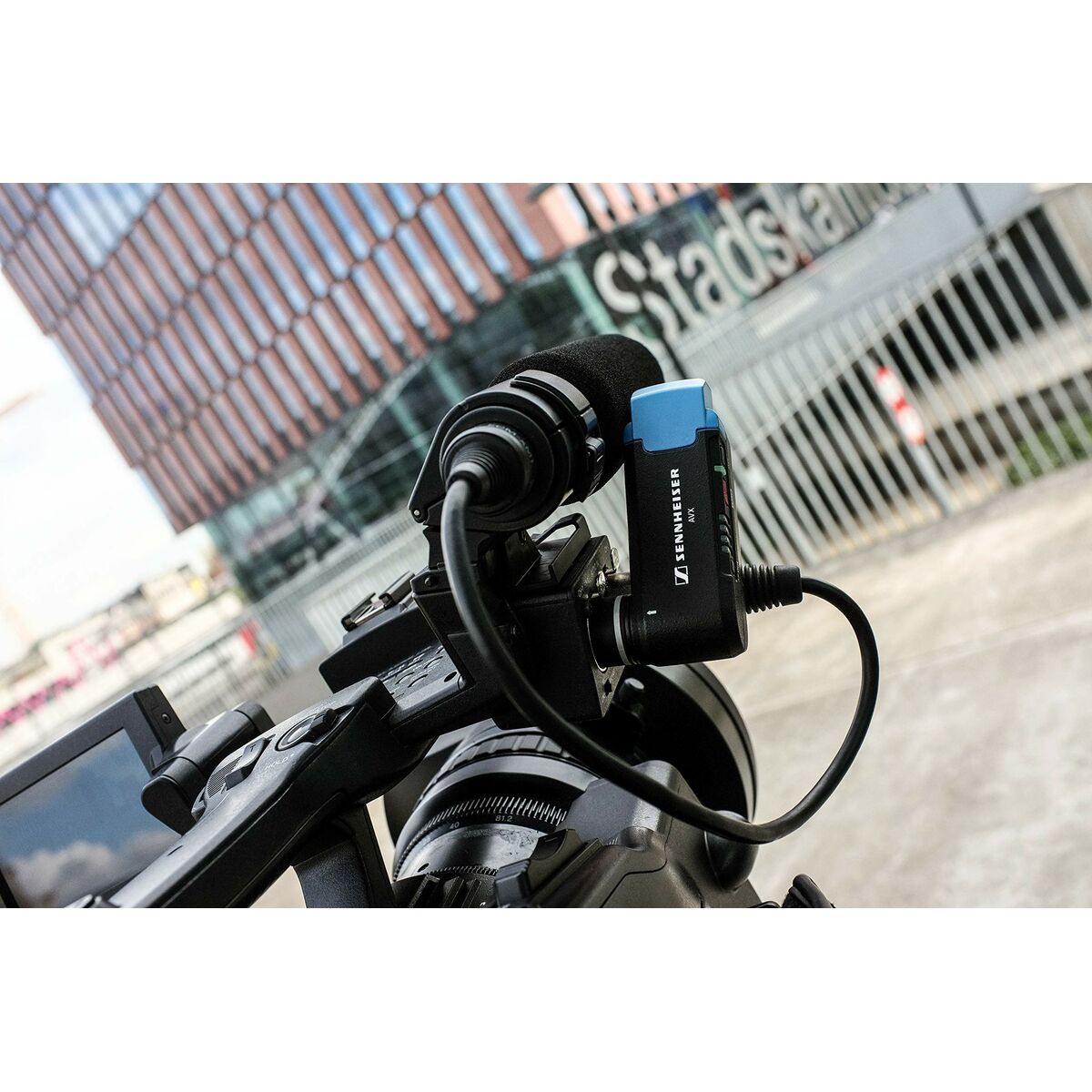 V3H4D594BB7D5A954D136FFC9B63334F914R6208702P10