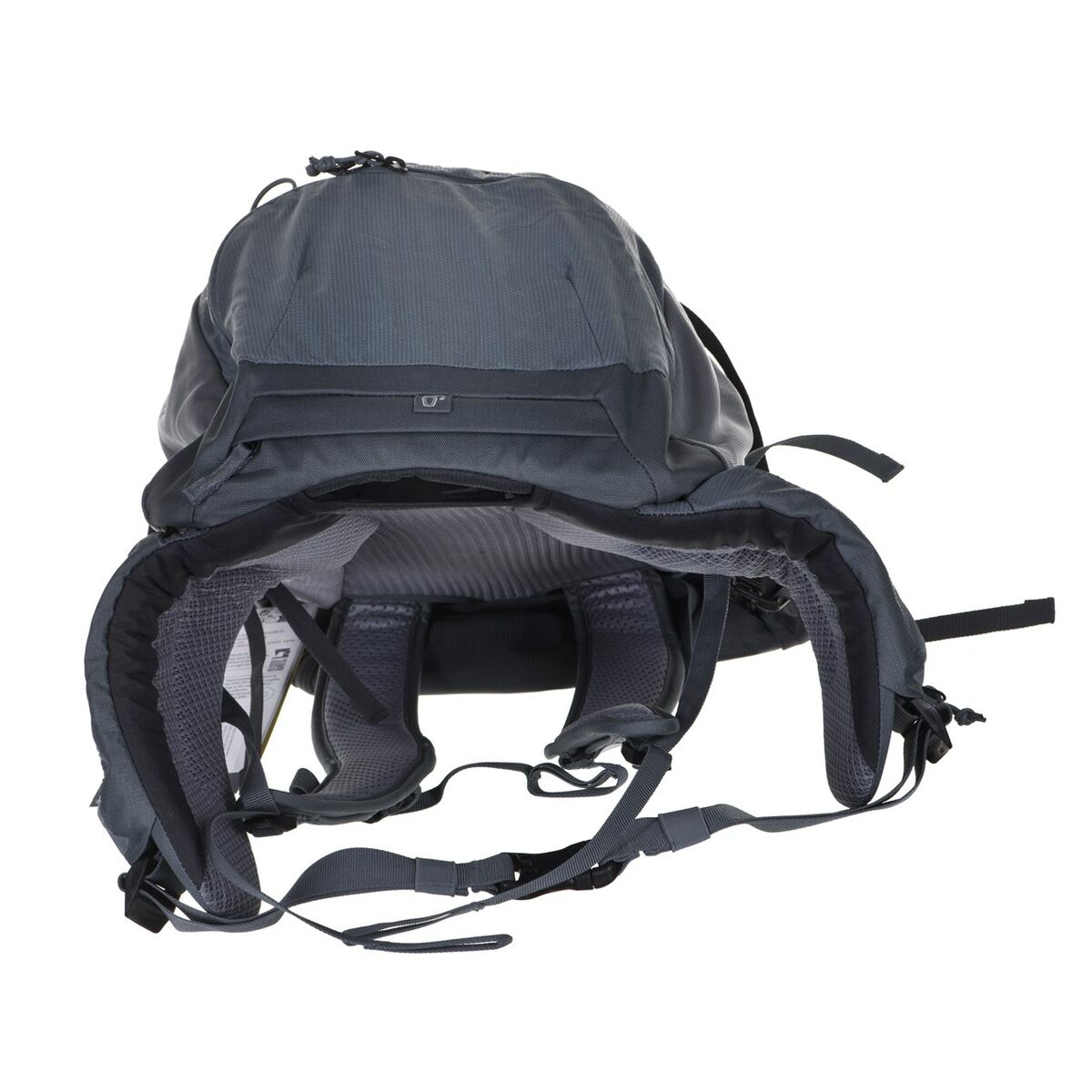 V5H06C29A3F15DEA55F0022BCC1D0634C4BR6423957P5