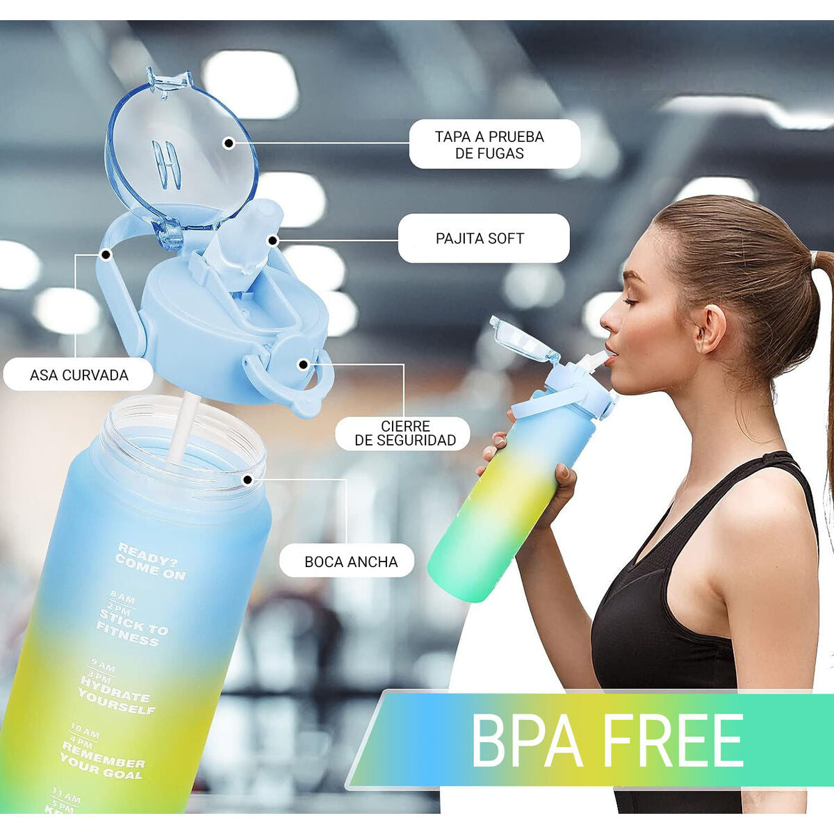 V3H065A1524A27C582B8B912EE8E8969706R5640945P2