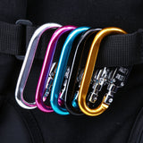 Coded Lock Carabiner