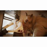 V4H3876F1DF0AF190B19A5944D407C42836R4556586P2