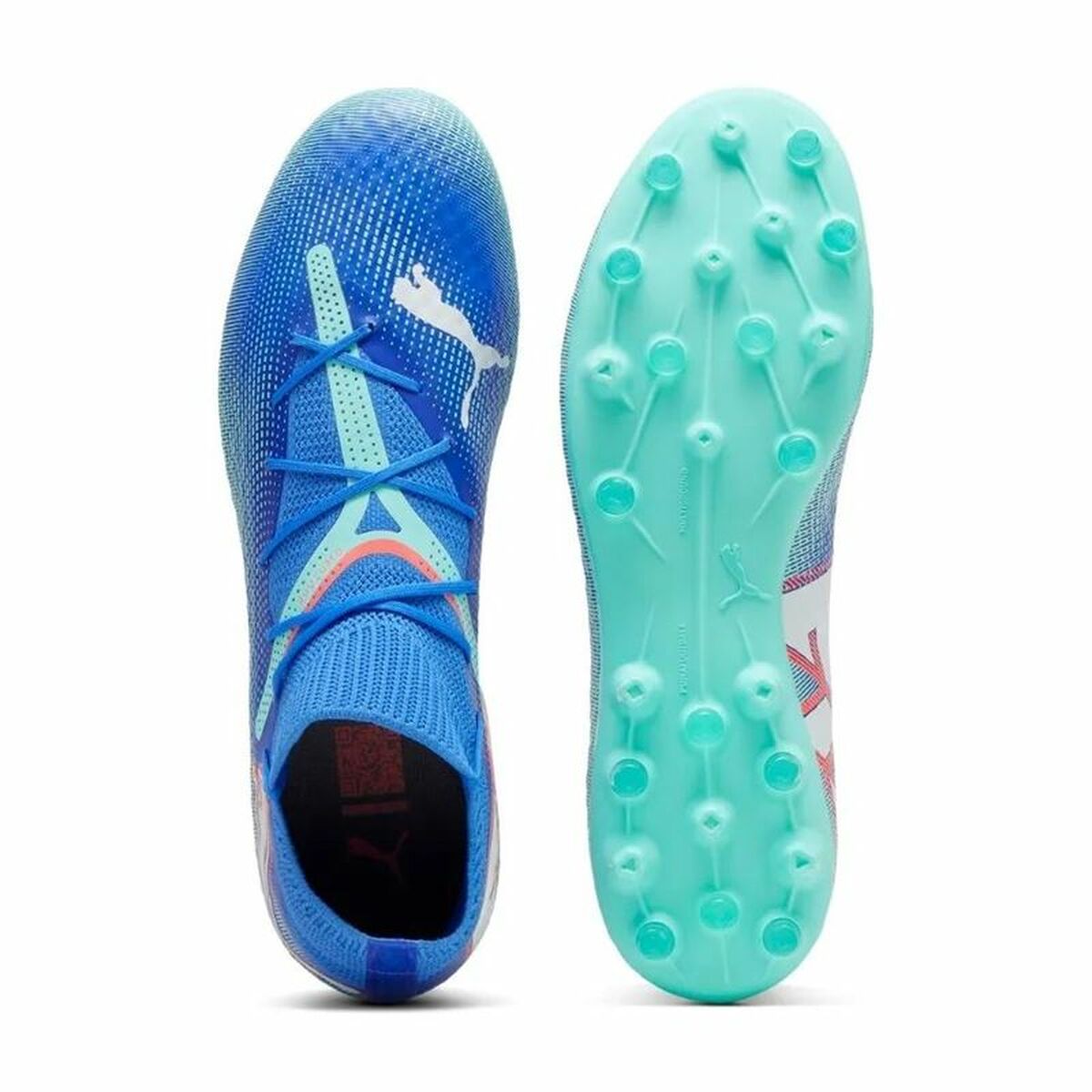 V5H9BF79365E692257D051E692DDCD0D166R5444210P3