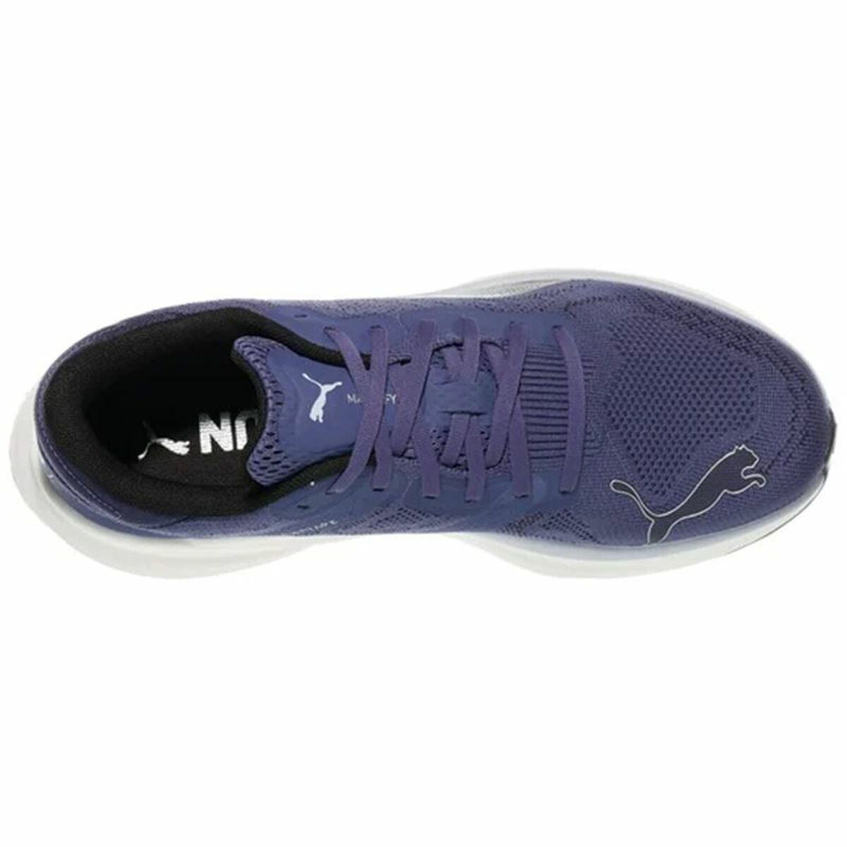 V3H105D63A04F261D252FE4D2E5F5594CC9R6072901P3