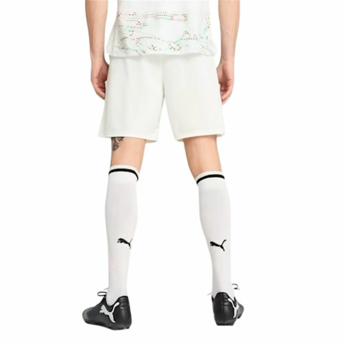 V6H4FA81030F3990E75F67CC4BE36910049R6597505P4