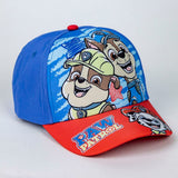 V4HDE5FDCB0DD728EAC4D4366A3323C01BBR4535771P4